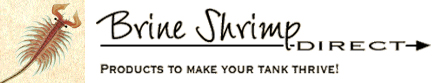 Brine Shrimp Direct